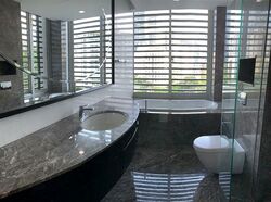 The Solitaire (D10), Condominium #455017781